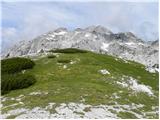 Planina Ravne - Lučki Dedec